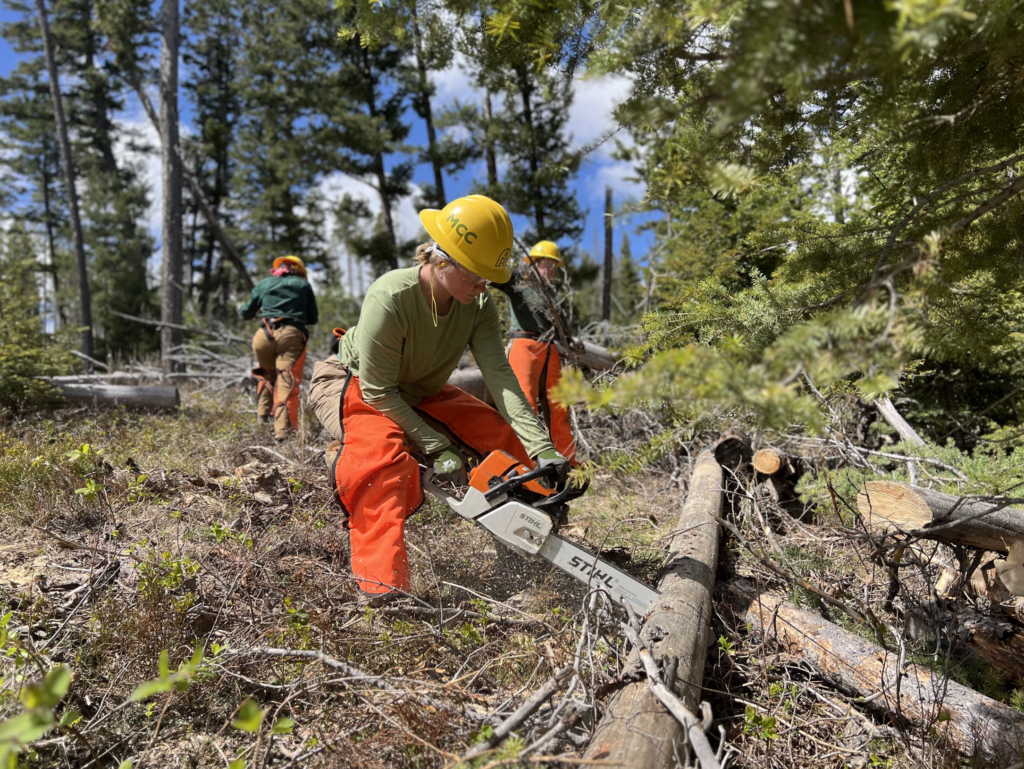 Chainsaw work on trail